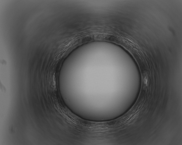 X0000091101252200708061014