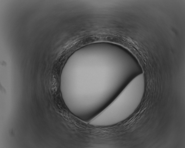 X0000091101253200708061014