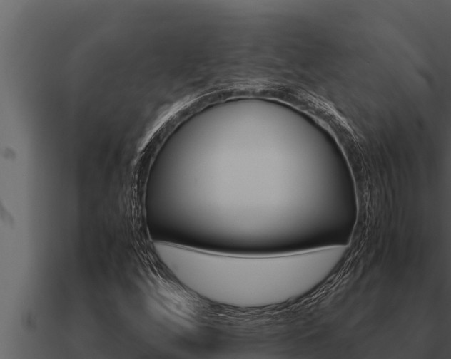 X0000091101256200708061014