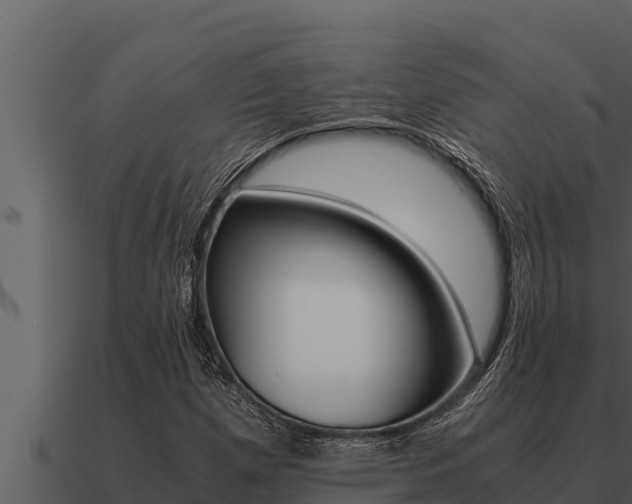 X0000091101257200708061014