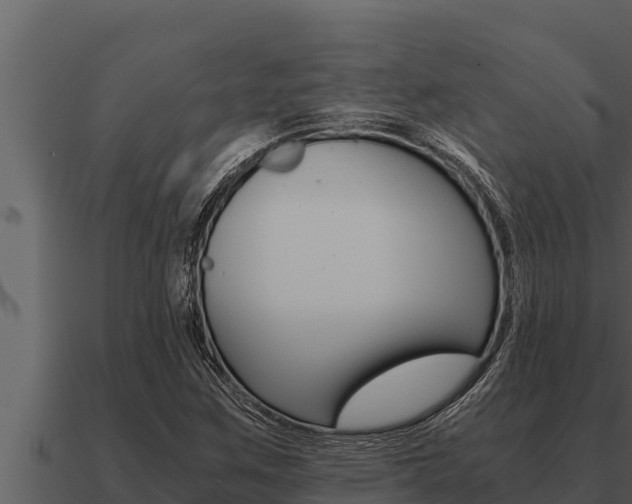 X0000091101259200708061014