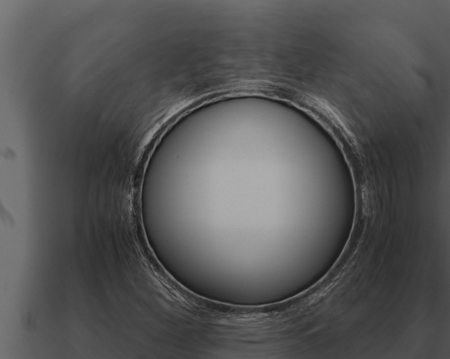 X0000091101260200708061014