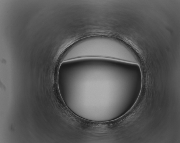 X0000091101261200708061014