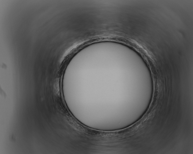 X0000091101262200708061014