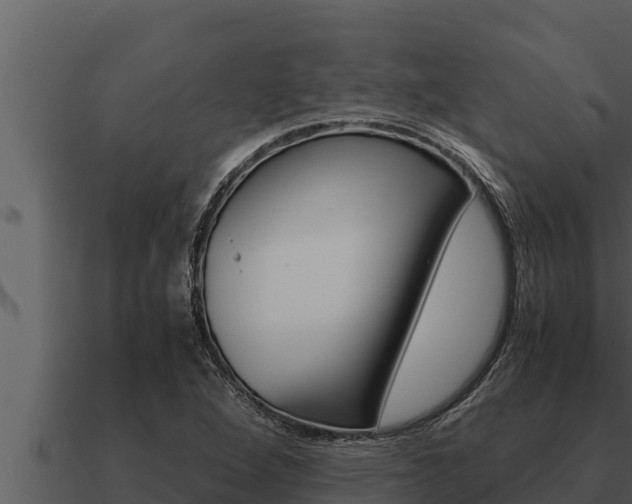 X0000091101264200708061014