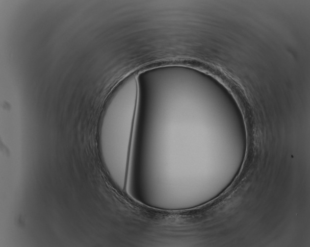 X0000091101265200708061014