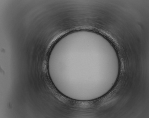 X0000091101266200708061014