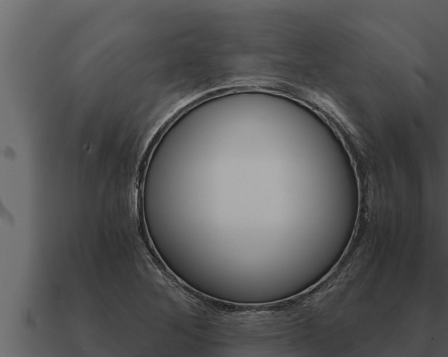X0000091101268200708061014