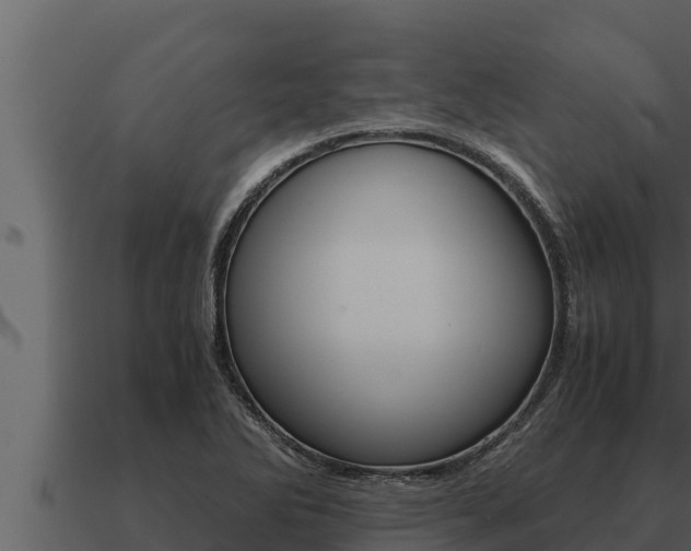 X0000091101270200708061014