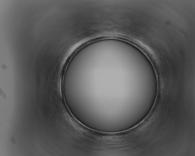 X0000091101272200708061014