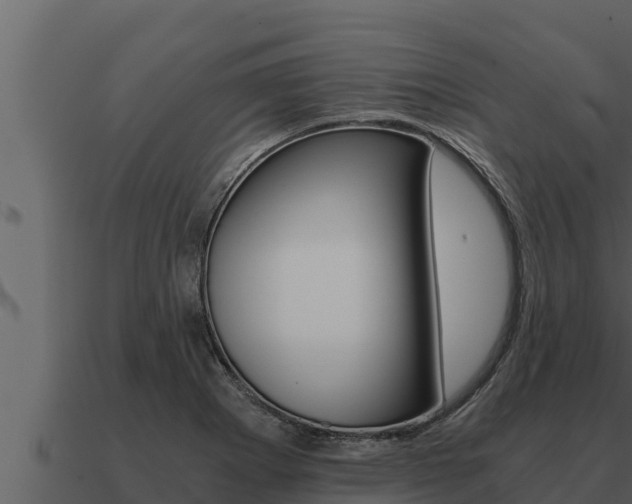 X0000091101273200708061014