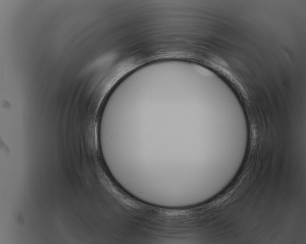 X0000091101274200708061014