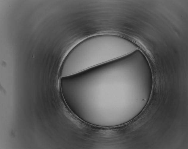 X0000091101276200708061014