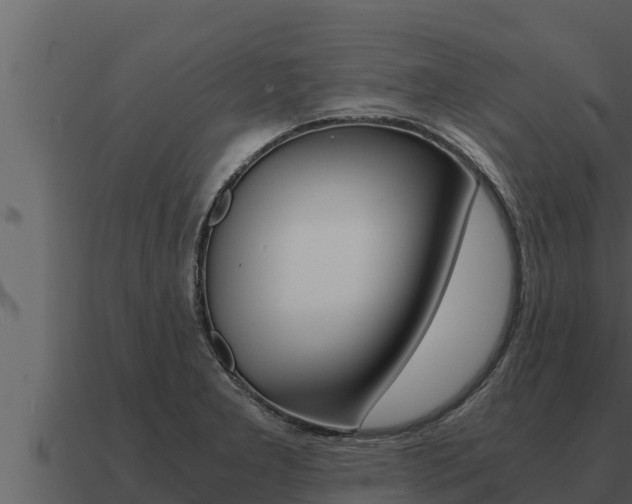 X0000091101277200708061014