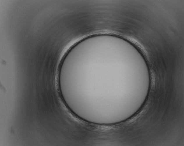 X0000091101278200708061014