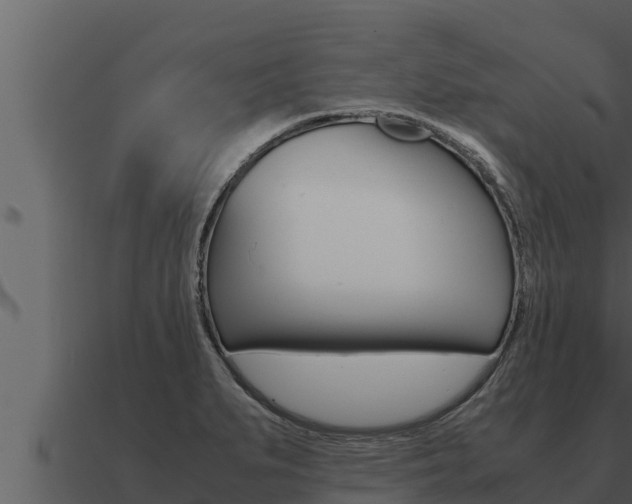 X0000091101279200708061014