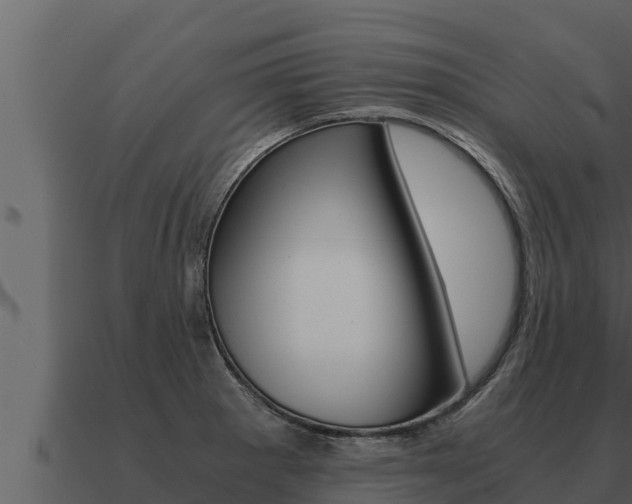 X0000091101281200708061014