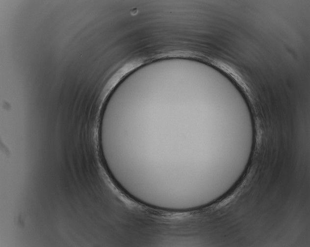 X0000091101282200708061014
