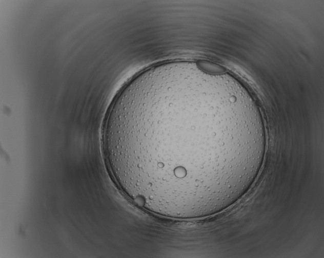 X0000091101283200708061014
