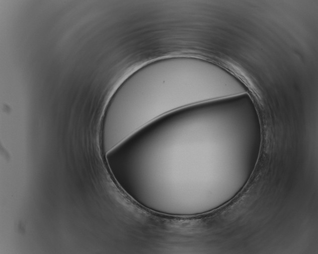 X0000091101284200708061014