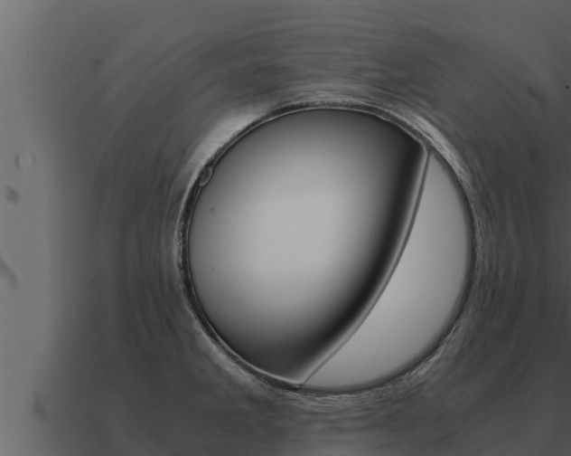 X0000091101285200708061014