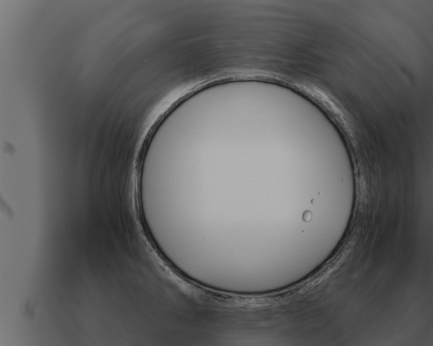 X0000091101286200708061014