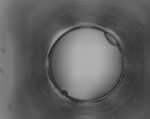 X0000091101287200708061014