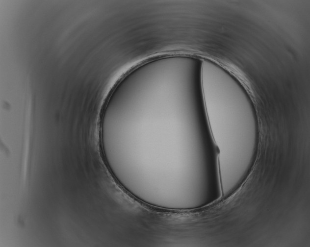 X0000091101288200708061014
