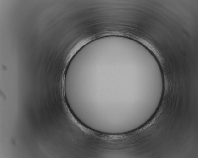 X0000091101290200708061014