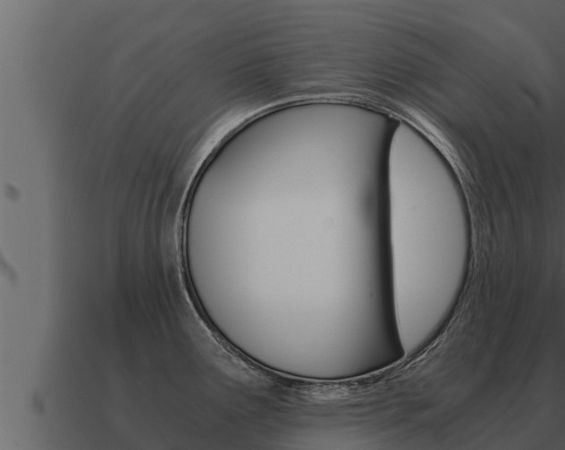 X0000091101291200708061014