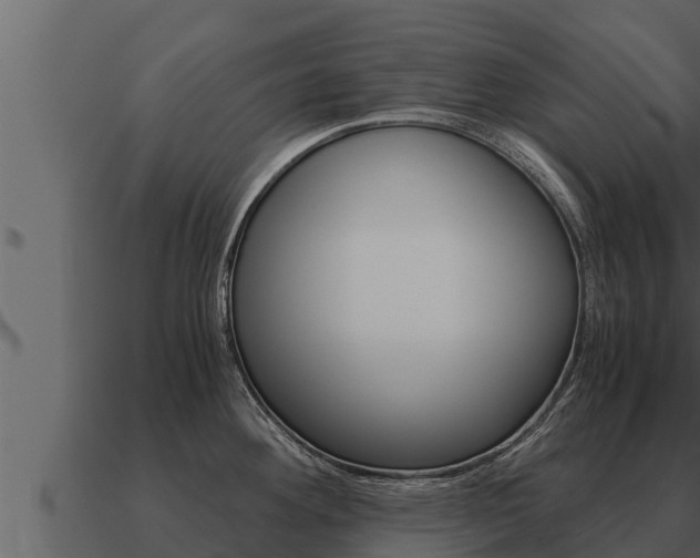 X0000091101292200708061014