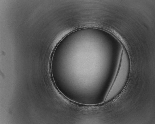 X0000091101293200708061014