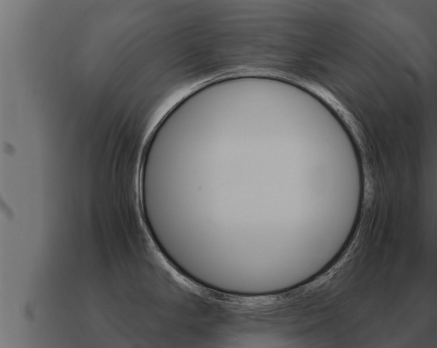 X0000091101294200708061014
