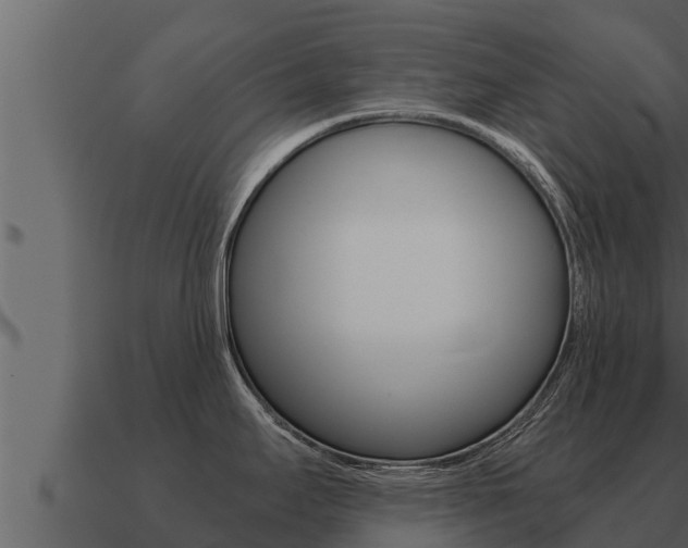 X0000091101295200708061014