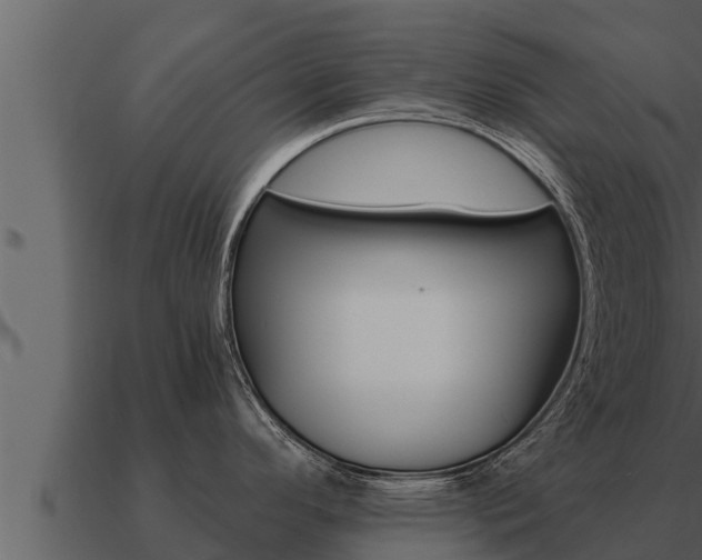 X0000091101296200708061014