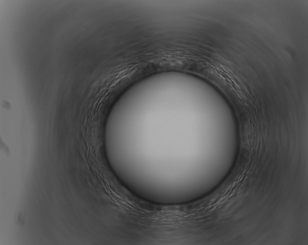 X0000091101297200708061013