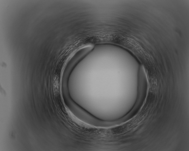 X0000091101298200708061013