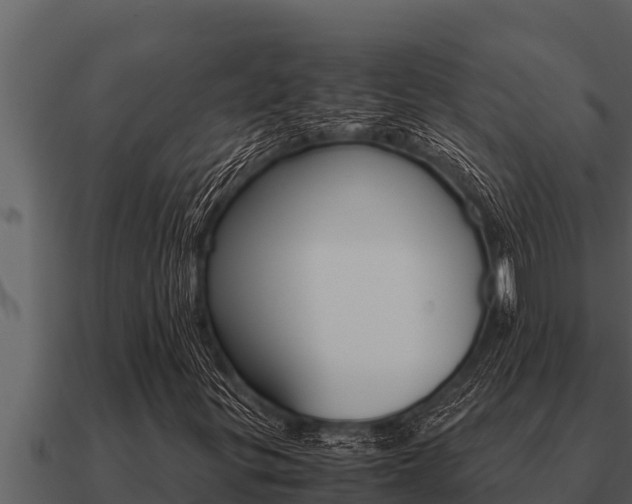 X0000091101299200708061013