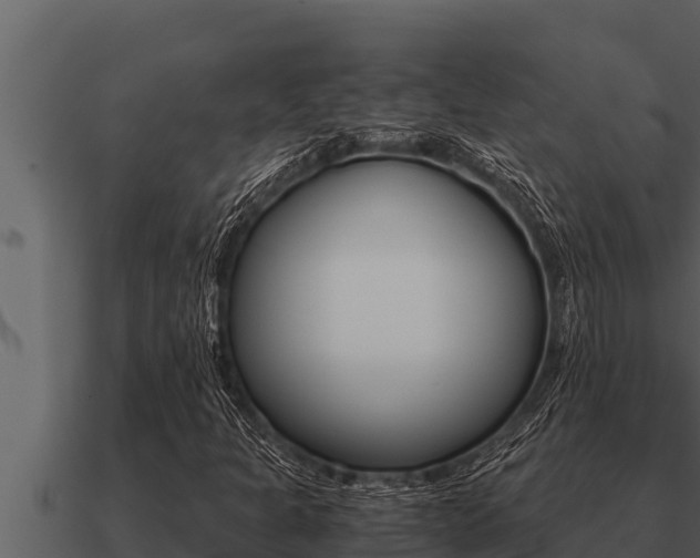 X0000091101301200708061013