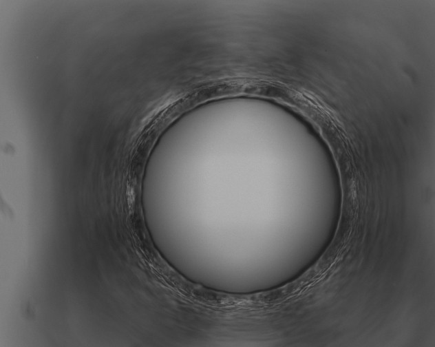 X0000091101302200708061013