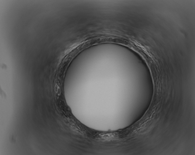 X0000091101303200708061013