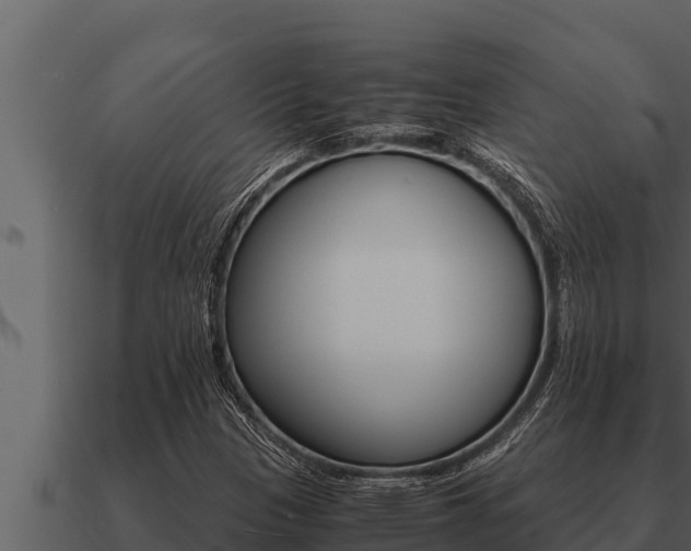 X0000091101305200708061013