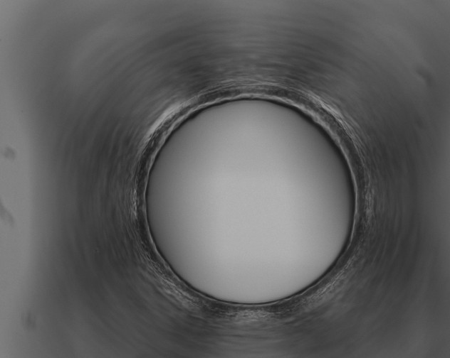 X0000091101306200708061013
