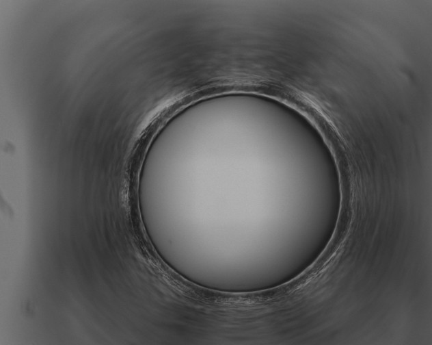 X0000091101307200708061013