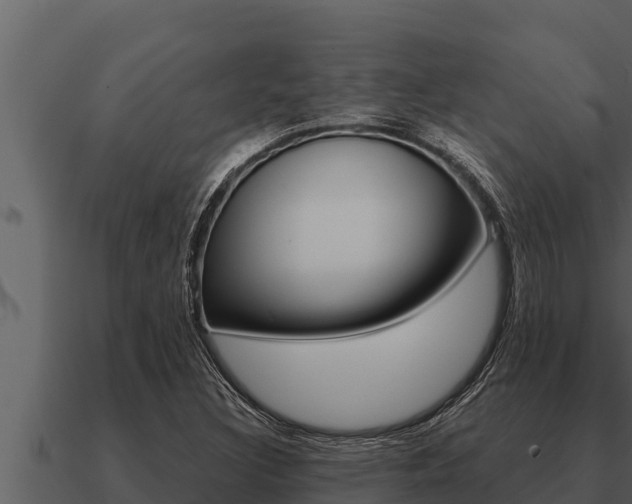 X0000091101308200708061013