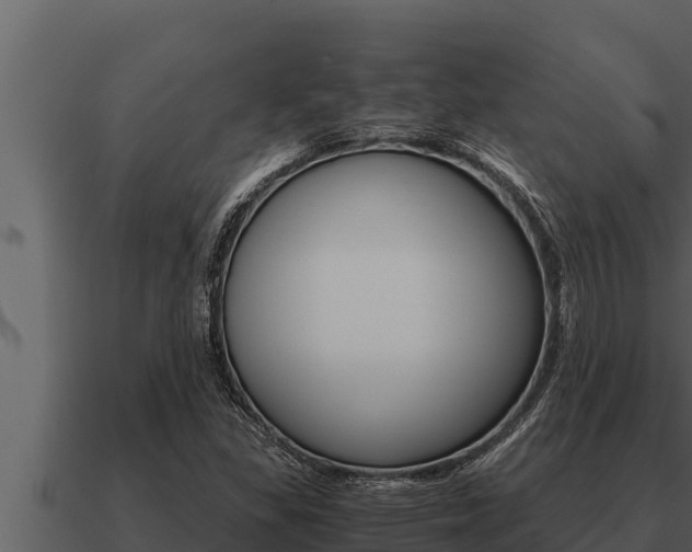 X0000091101309200708061013