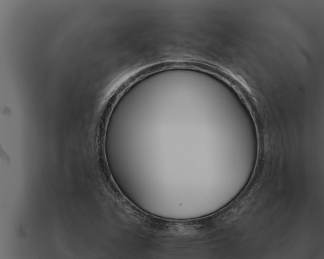 X0000091101311200708061013