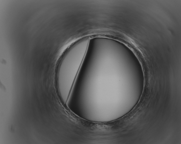X0000091101312200708061013