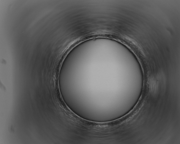 X0000091101313200708061013