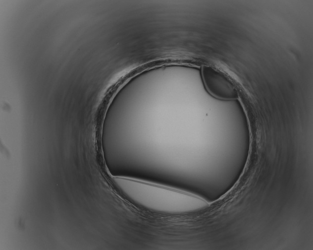 X0000091101315200708061013